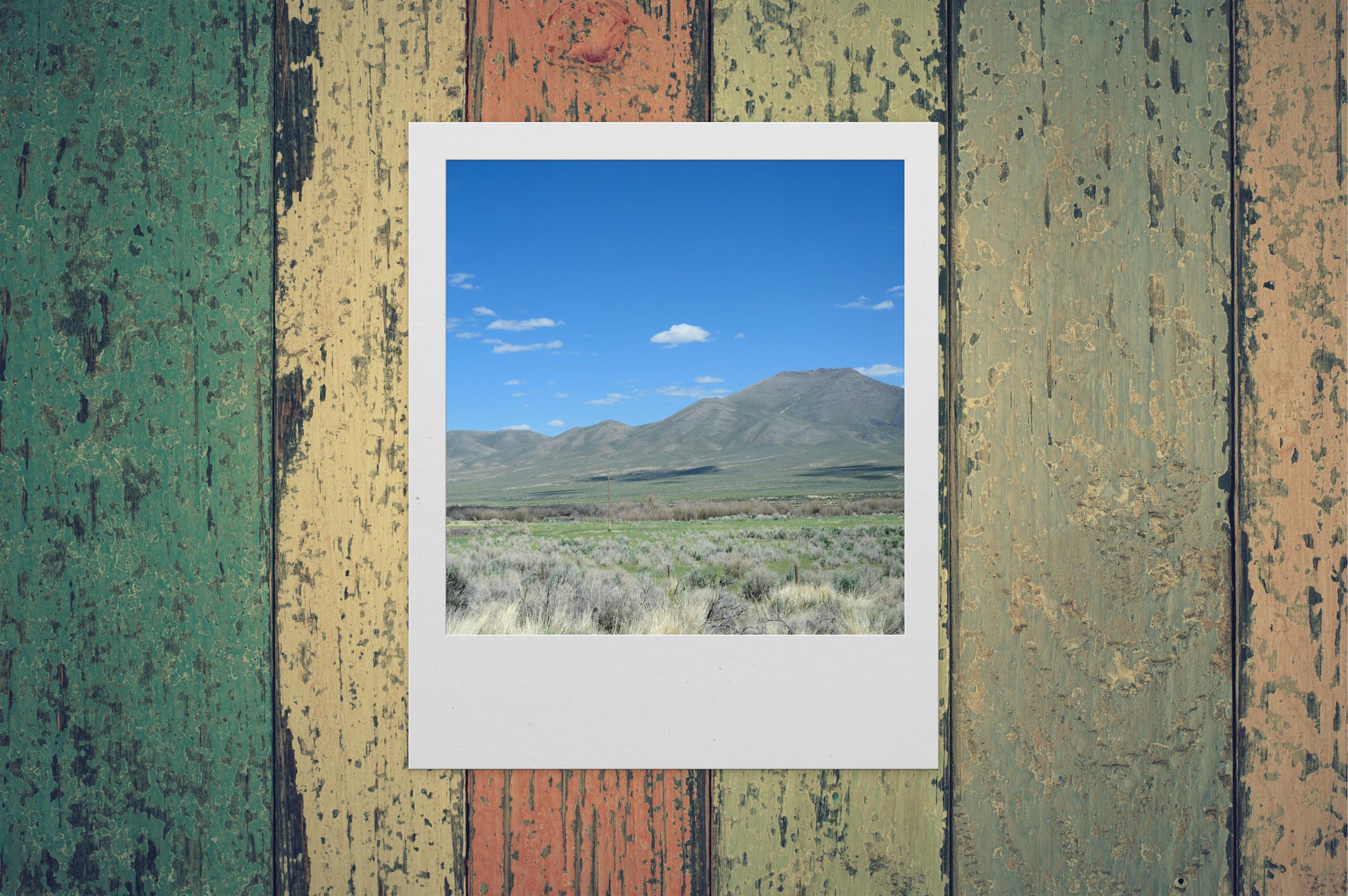 A vibrant landscape photo framed in a classic polaroid style against a rustic, textured wooden background.