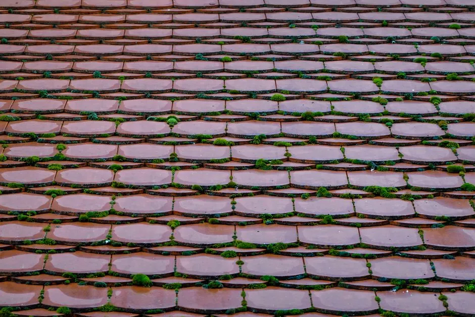 Toiture en tuiles rouges avec de la mousse entre les tuiles